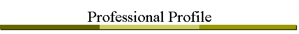 Professional Profile